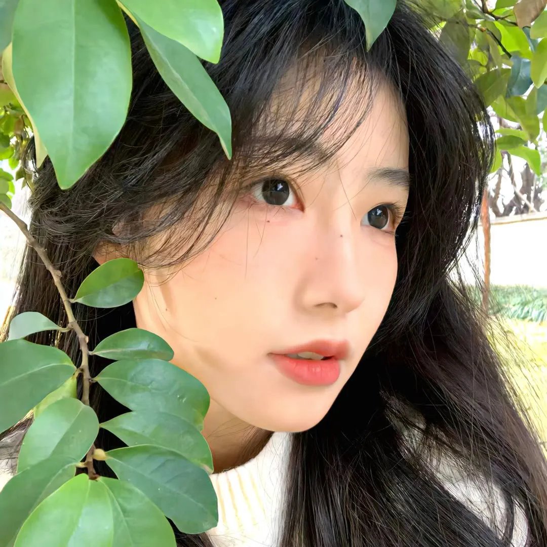 美人老矣·动态漫 在线观看封面